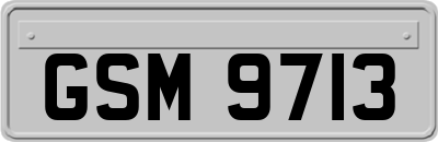 GSM9713