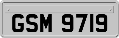 GSM9719