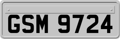 GSM9724
