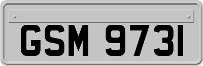 GSM9731