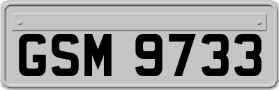 GSM9733