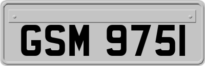 GSM9751