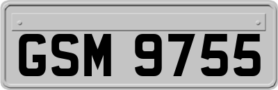 GSM9755