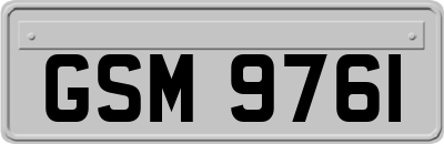 GSM9761