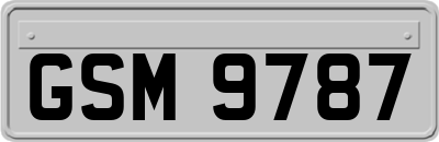 GSM9787