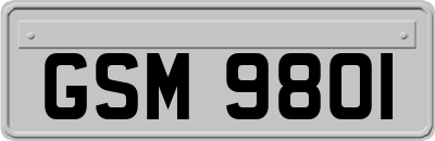 GSM9801