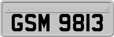 GSM9813