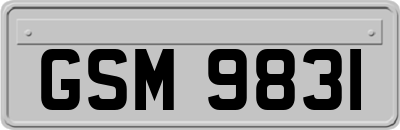 GSM9831