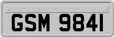 GSM9841
