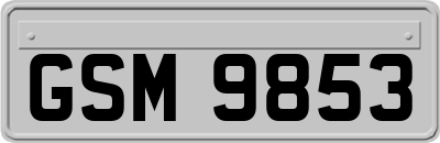 GSM9853