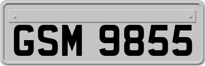 GSM9855