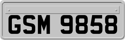 GSM9858