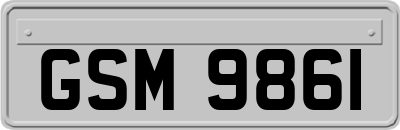 GSM9861
