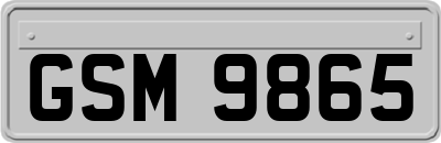 GSM9865