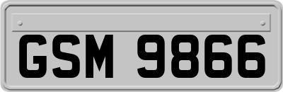 GSM9866