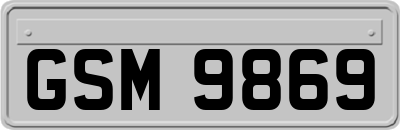 GSM9869