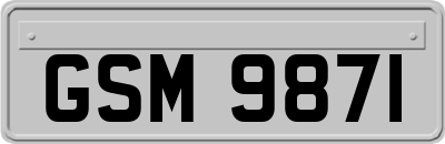 GSM9871