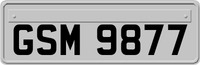 GSM9877