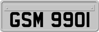 GSM9901