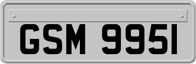 GSM9951