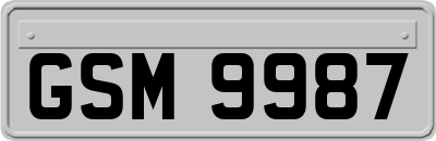 GSM9987