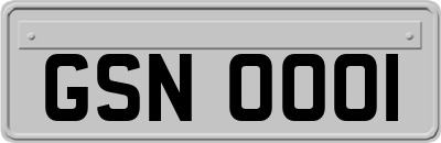 GSN0001