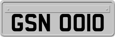 GSN0010