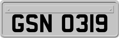 GSN0319