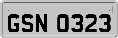 GSN0323