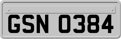 GSN0384
