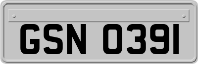 GSN0391