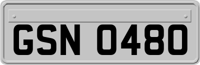 GSN0480