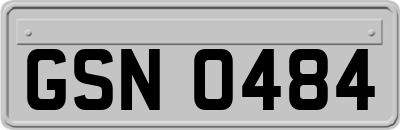GSN0484