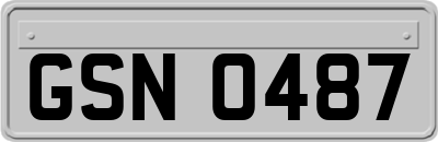 GSN0487