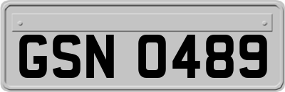 GSN0489