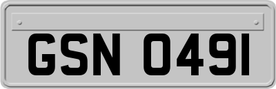 GSN0491