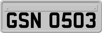 GSN0503