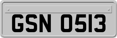 GSN0513