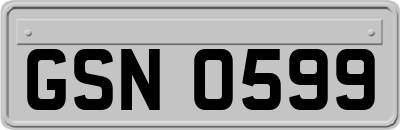 GSN0599