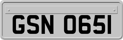 GSN0651