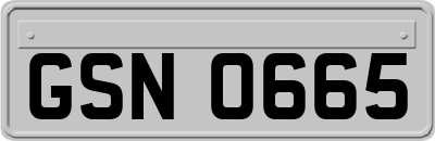 GSN0665