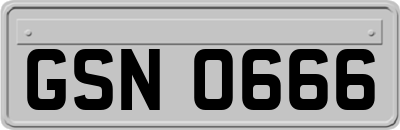 GSN0666