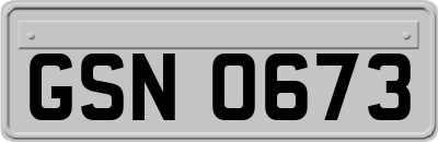 GSN0673