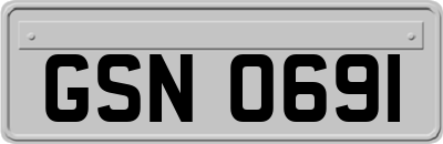 GSN0691