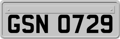 GSN0729