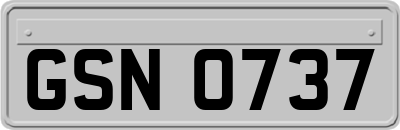 GSN0737