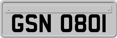 GSN0801