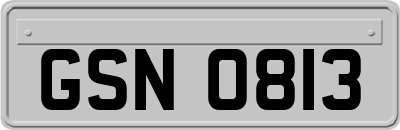 GSN0813