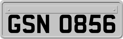 GSN0856