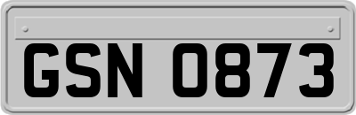 GSN0873
